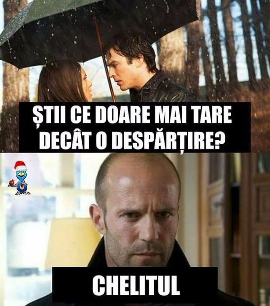  - Poze 1