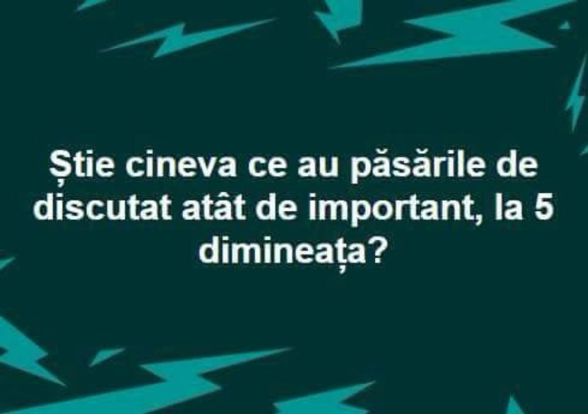  - Poze 1