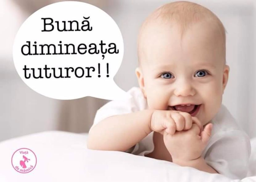  - Poze 1