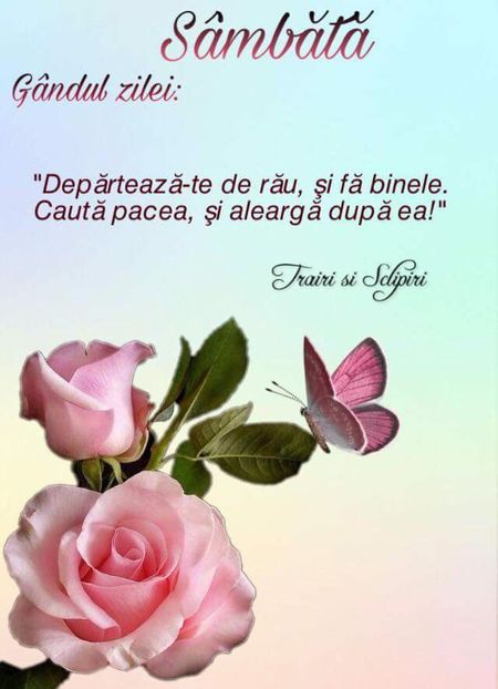  - Poze 1
