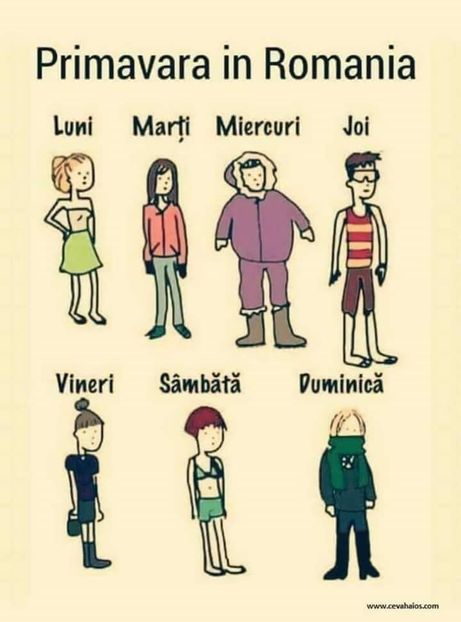  - Poze 1