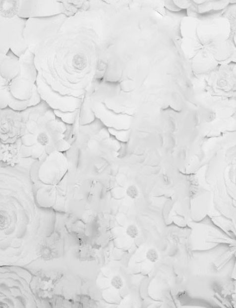  - 01 background - 01