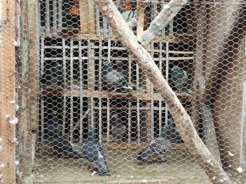  - 17-03-2018-Relaxare