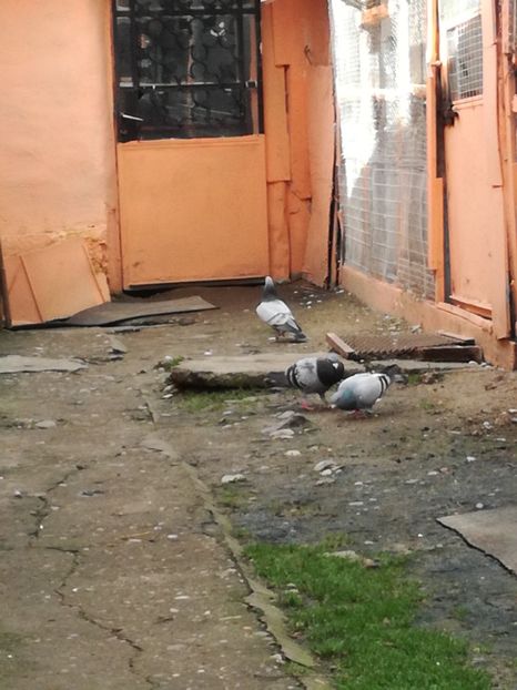  - 17-03-2018-Relaxare