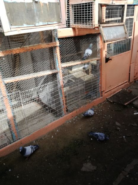  - 17-03-2018-Relaxare