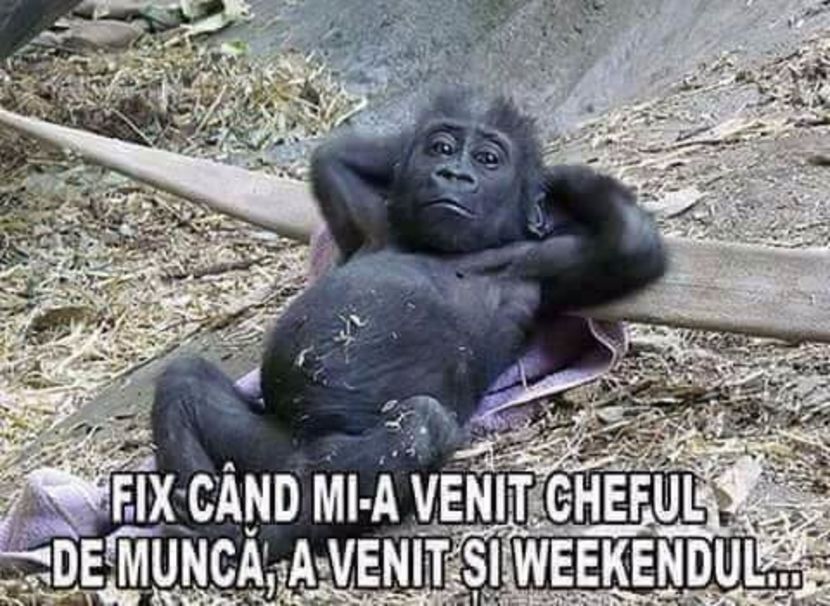  - Poze 1