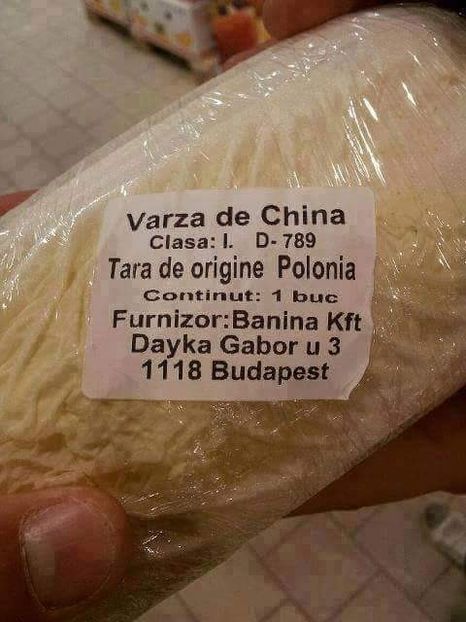  - Poze 1