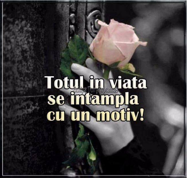  - Poze 1