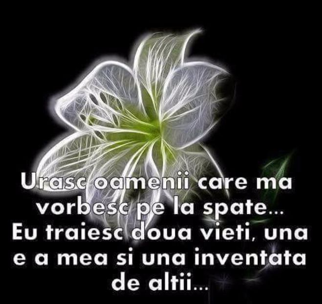  - Poze 1