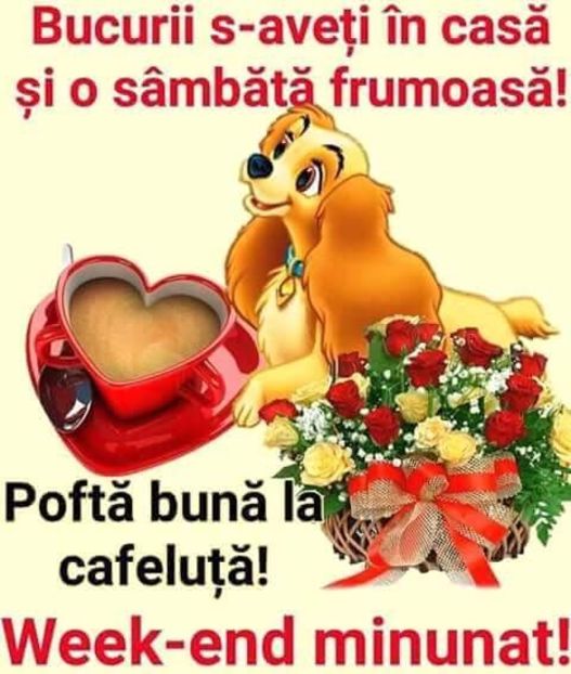  - Poze 1