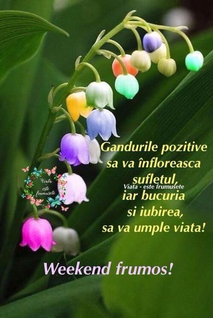  - Poze 1