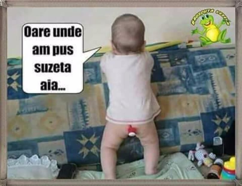  - Poze 1