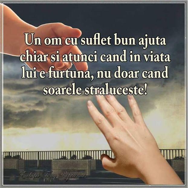  - Poze 1