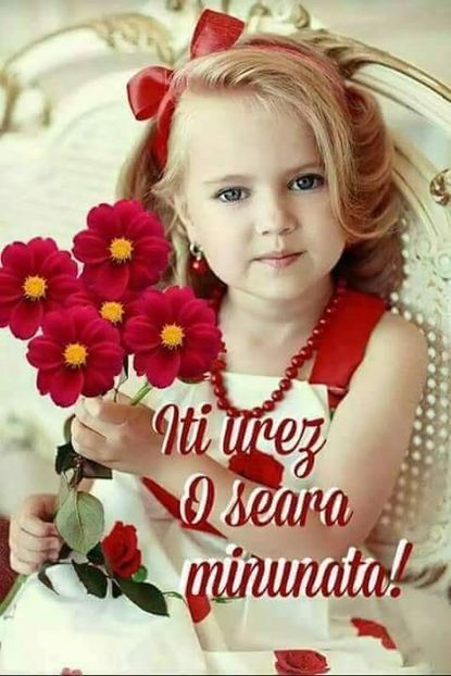  - Poze 1