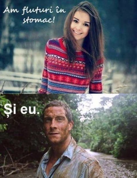 - Poze 1