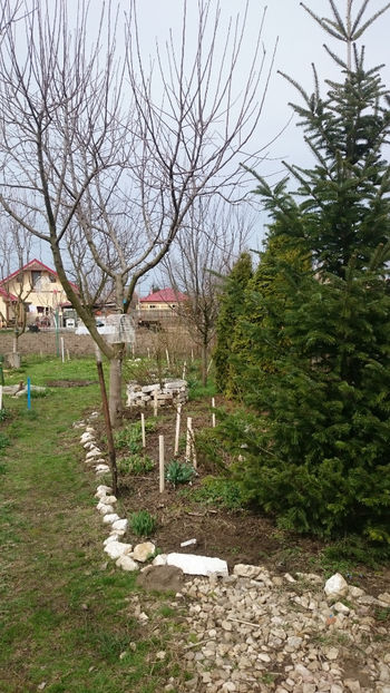 - Gradina primavara 2018
