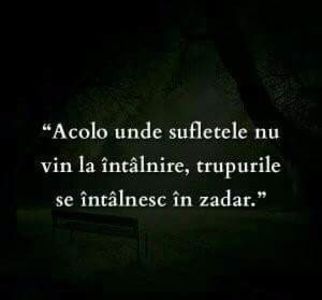  - Poze 1