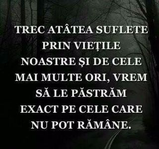  - Poze 1