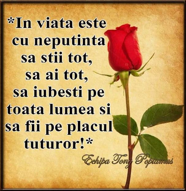  - Poze 1