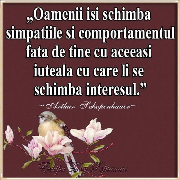  - Poze 1