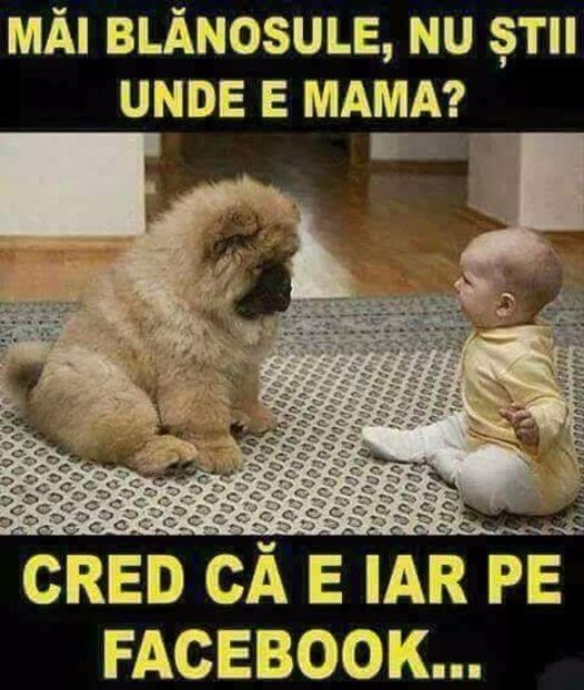  - Poze 1