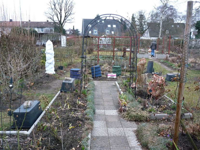 ... din nou ... IARNA! - 2018 - 01 - Primavara