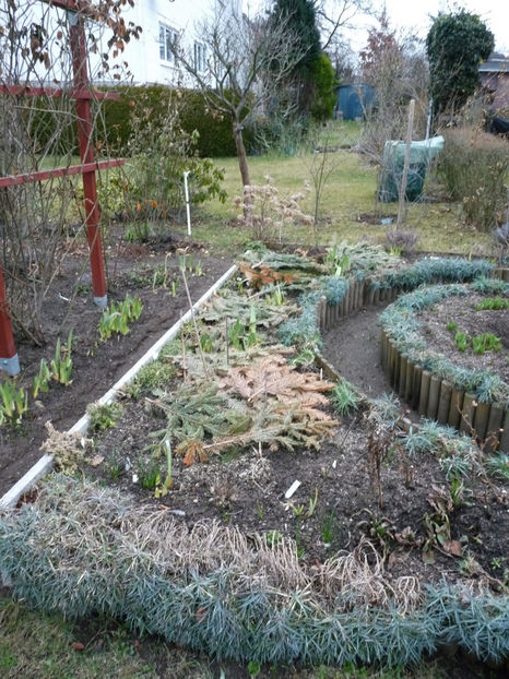 ... macar de ar ninge ...!!! - 2018 - 01 - Primavara