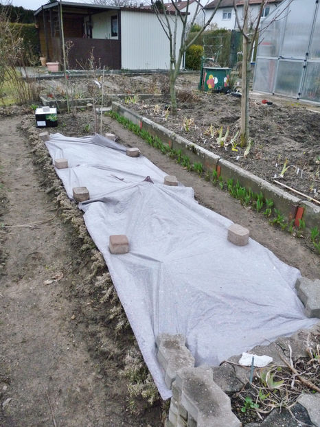  - 2018 - 01 - Primavara