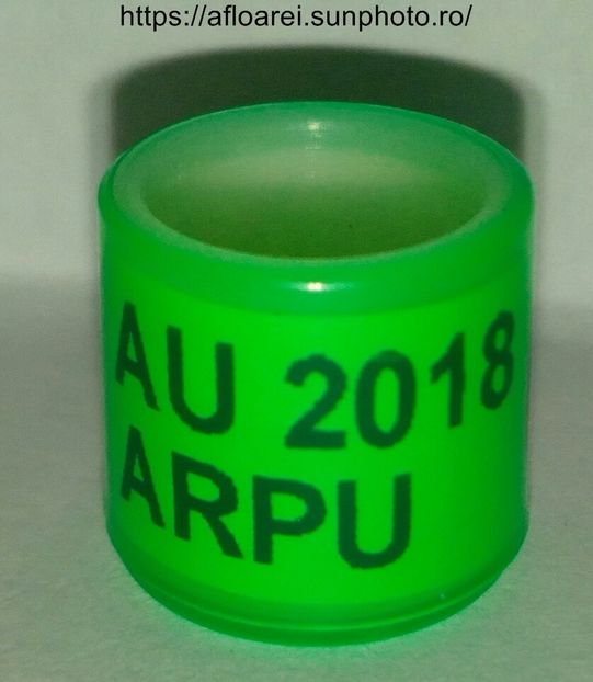 AU 2018 ARPU - AMERICA