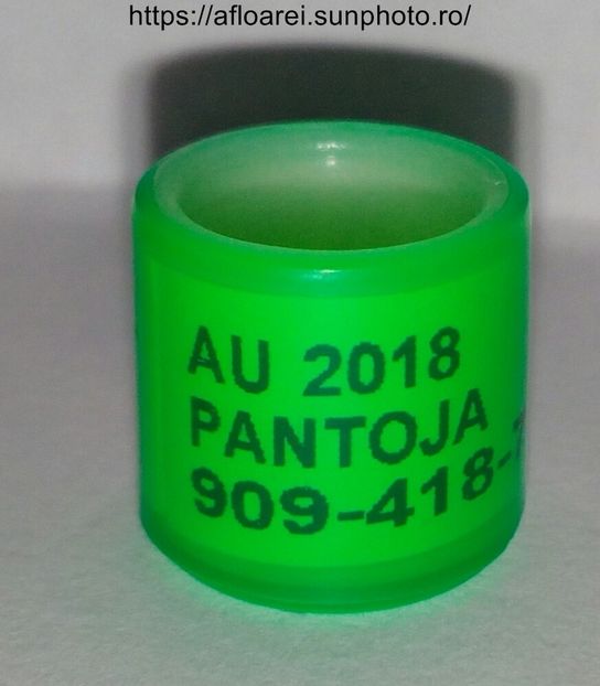 AU 2018 PANTOJA - AMERICA