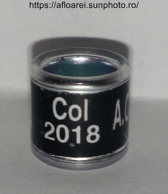 COL 2018 - COLUMBIA-COL