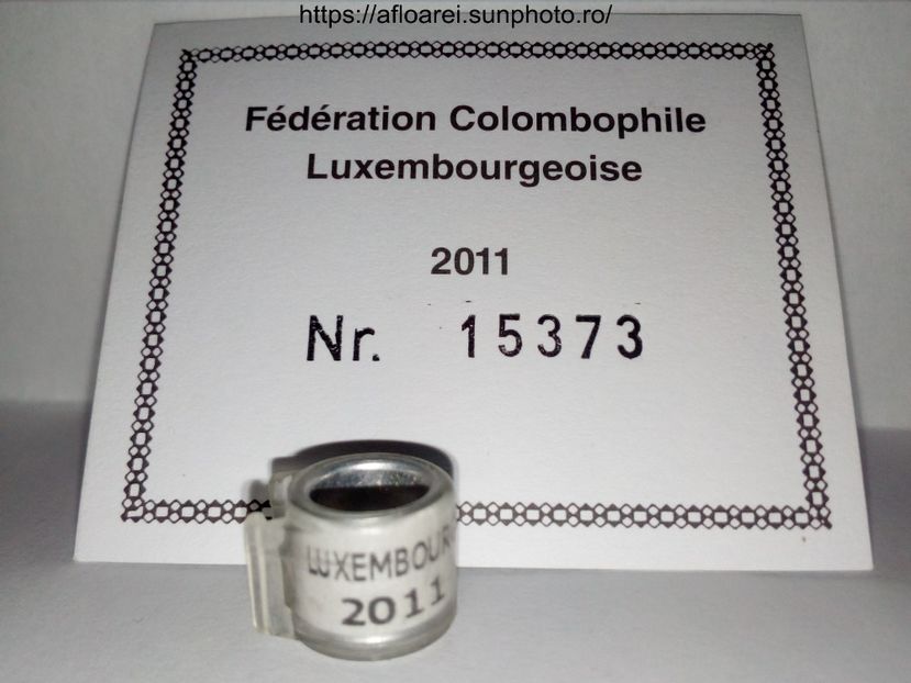 LUXEMBOURG 2011 - LUXEMBURG