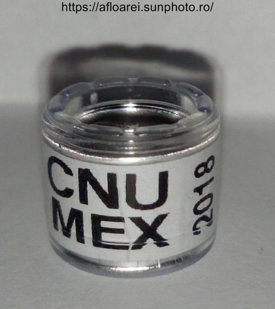 CNU MEX 2018 - MEXIC