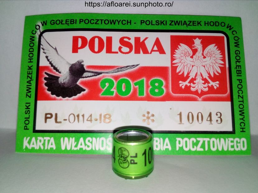 pl 18 - POLONIA -PL