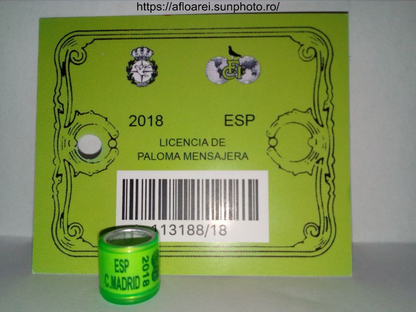 ESP C. MADRID 2018 - MADRID