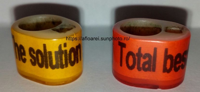 ICOM RINGS - inele colectie-Pigeon Rings Collection