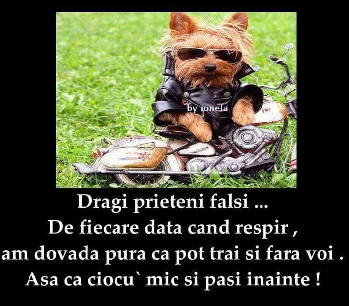  - Poze 1