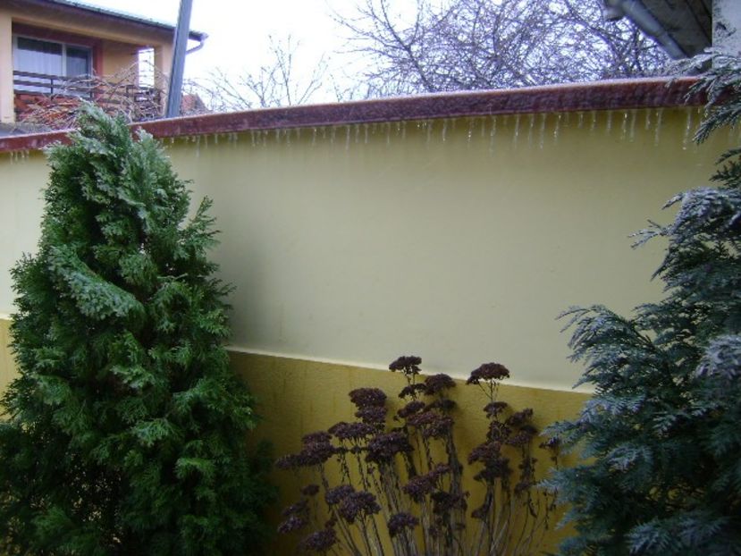 18 mart. 2018 - Freezing rain - v Iarna 2016-2017-2018