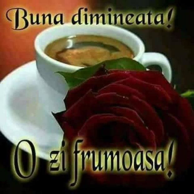  - Poze 1