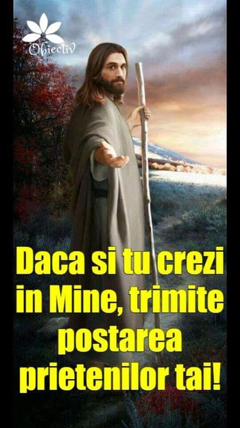  - Poze 1