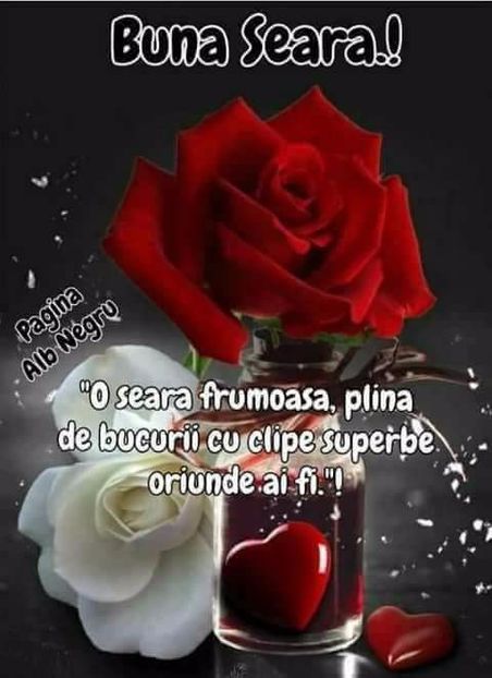  - Poze 1