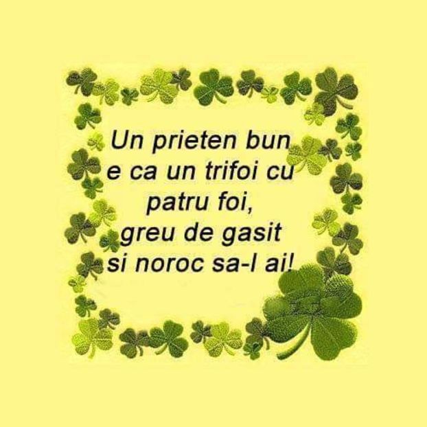  - Poze 1