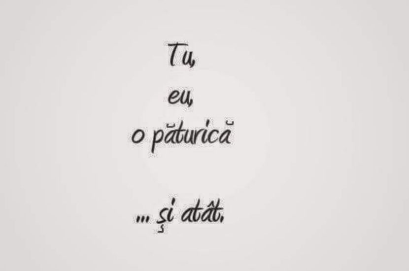  - Poze 1