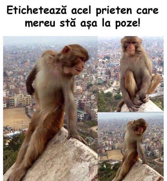  - Poze 1