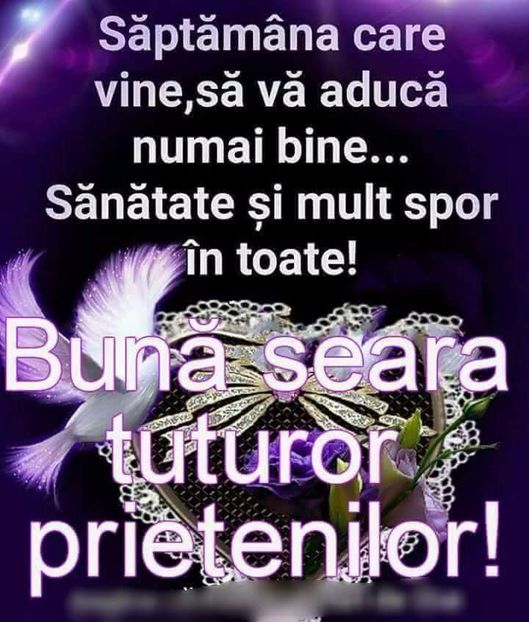  - Poze 1