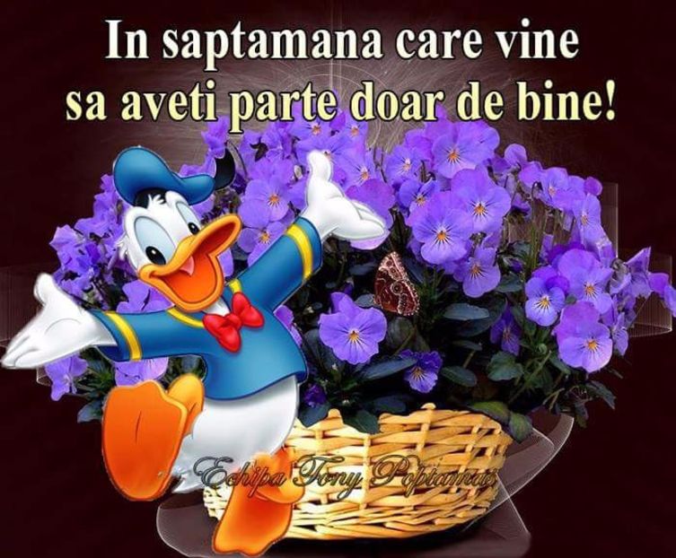  - Poze 1