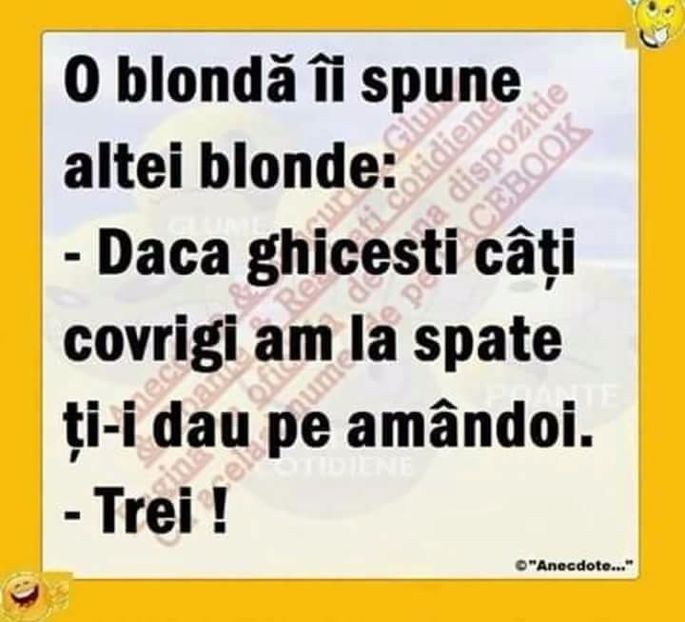  - Poze 1