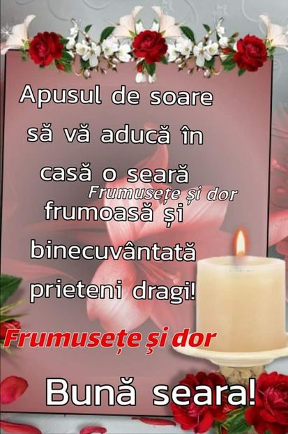  - Poze 1