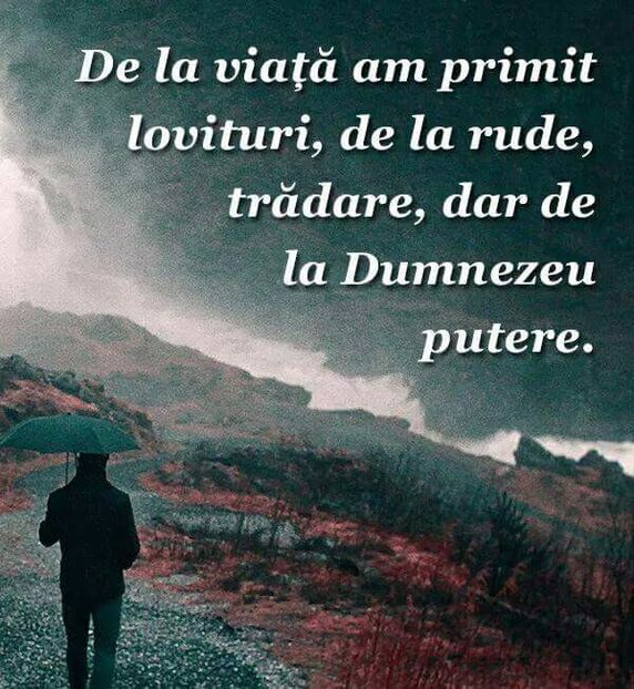  - Poze 1