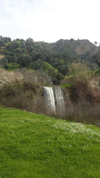  - Primăvara prin alte țări